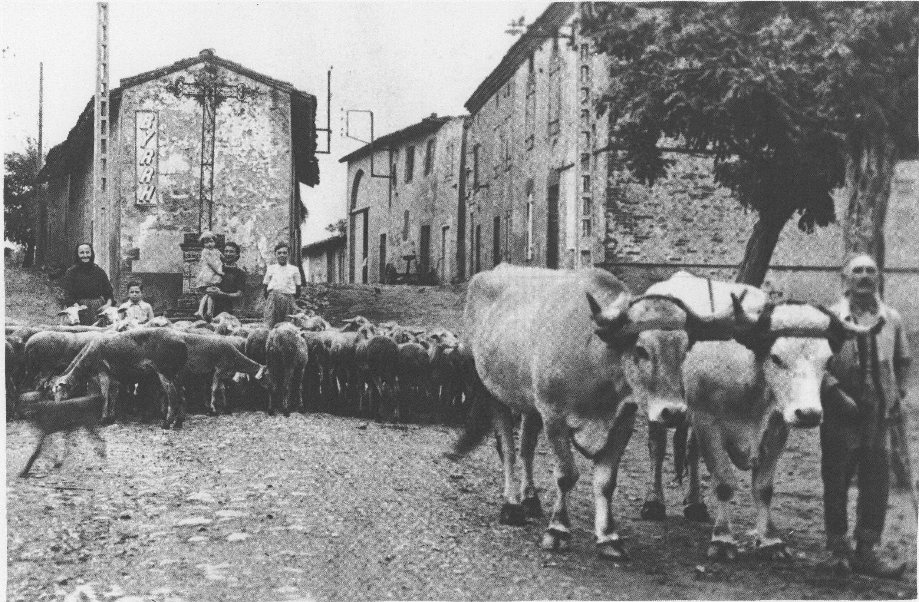 Sur la place du village